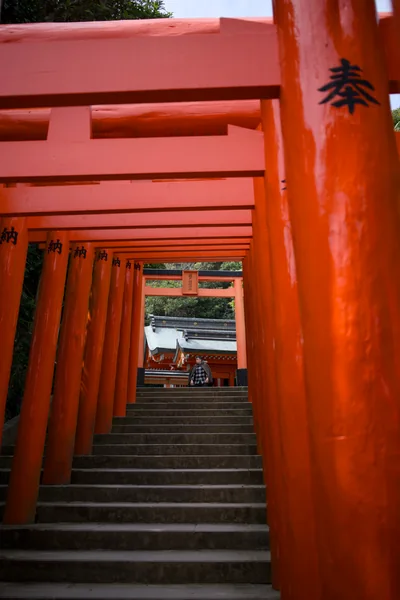 Stone steps leading beneath a sequence of bright vermilion torii gates