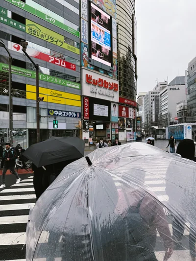 Clear and black umbrellas crossing a rainy street beneath Japanese shop signs