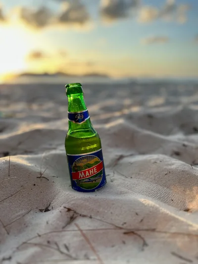 A green beer bottle in pale beach sand at sunset